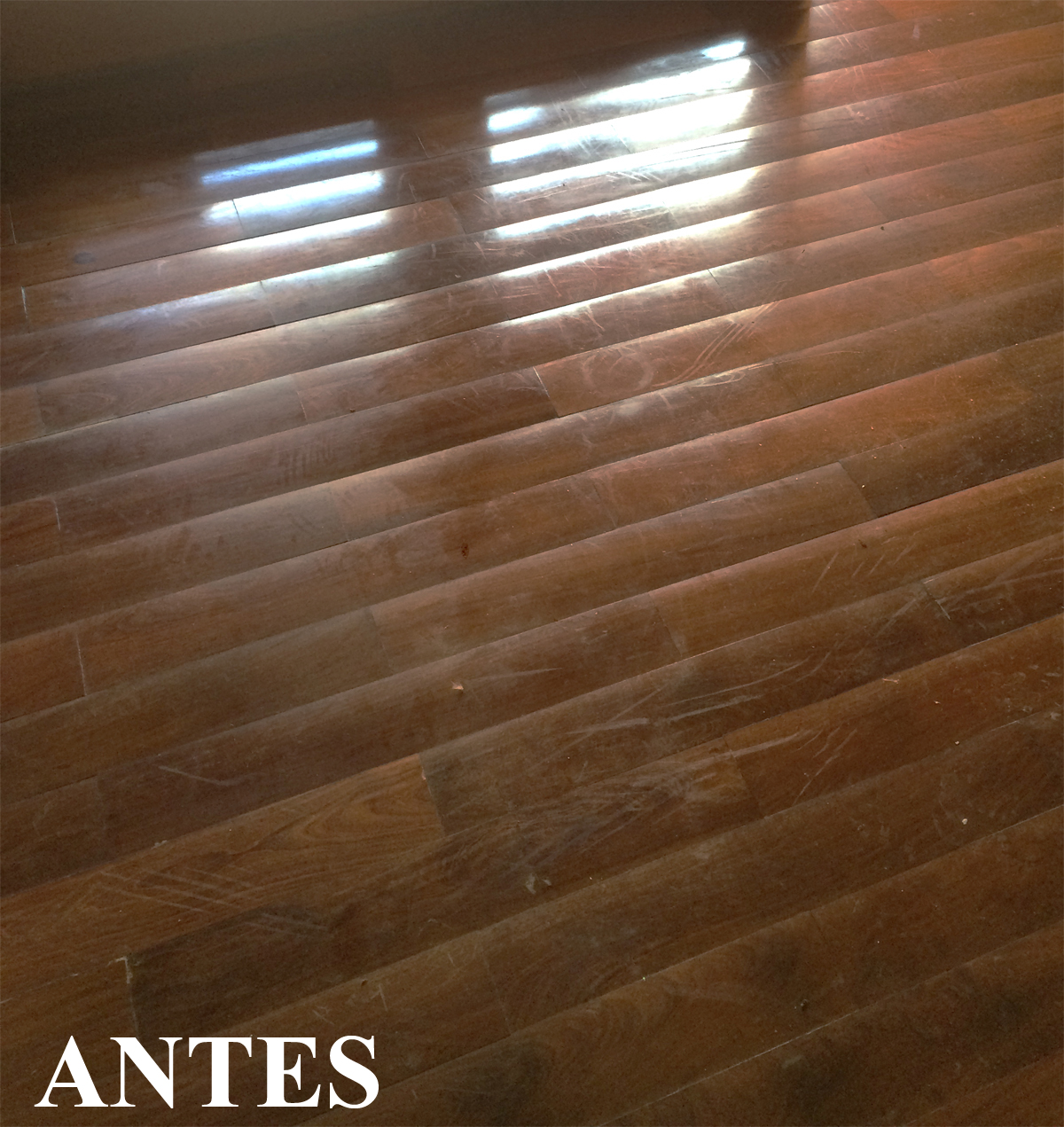 $proyectos[0]['imagenes'][$i]['filename']